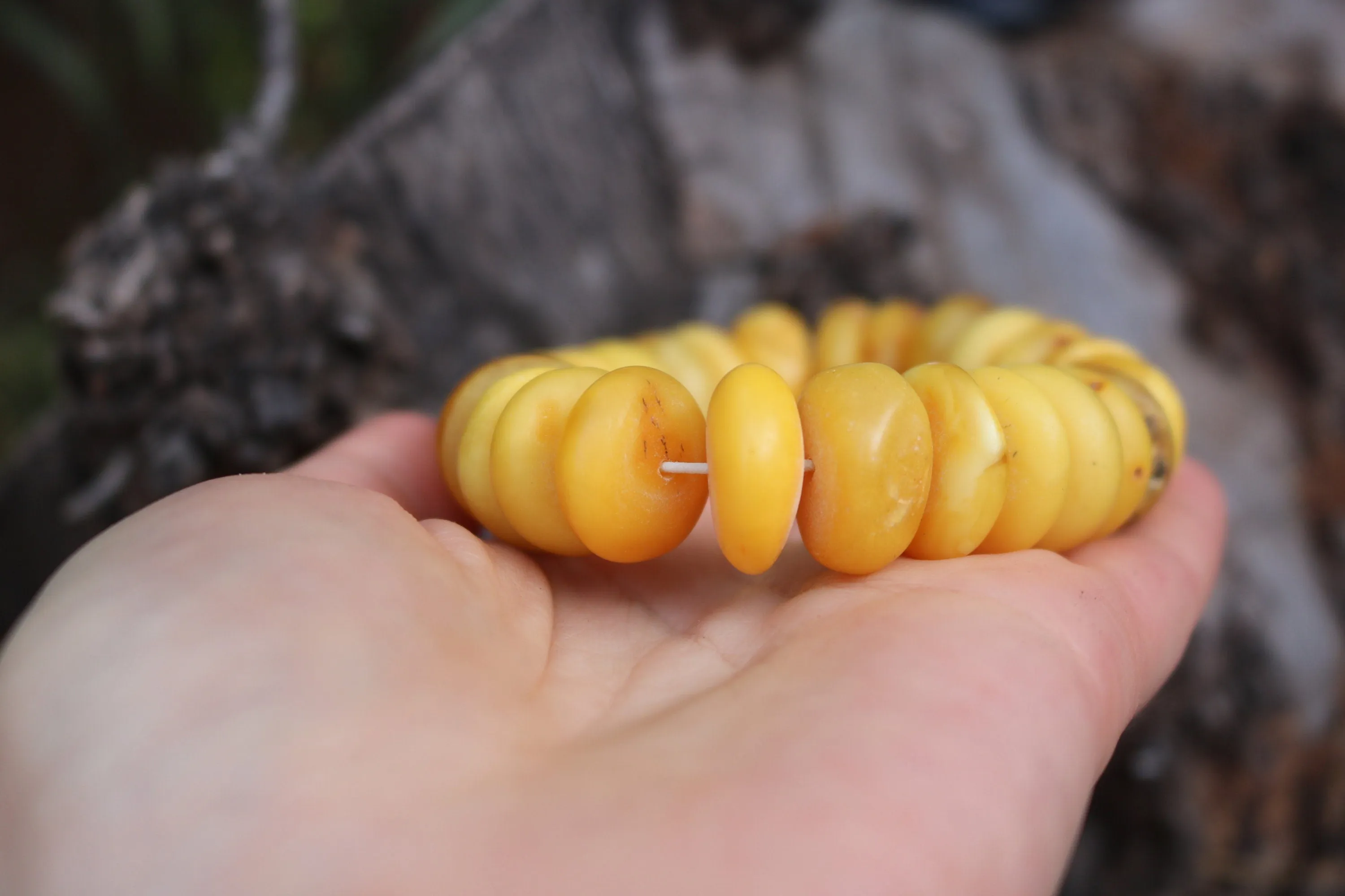 Baltic Amber Bracelet Raw Butterscotch Yolk Rondelle Unpolished Beads Natural Untreated Unisex 48.4 gram