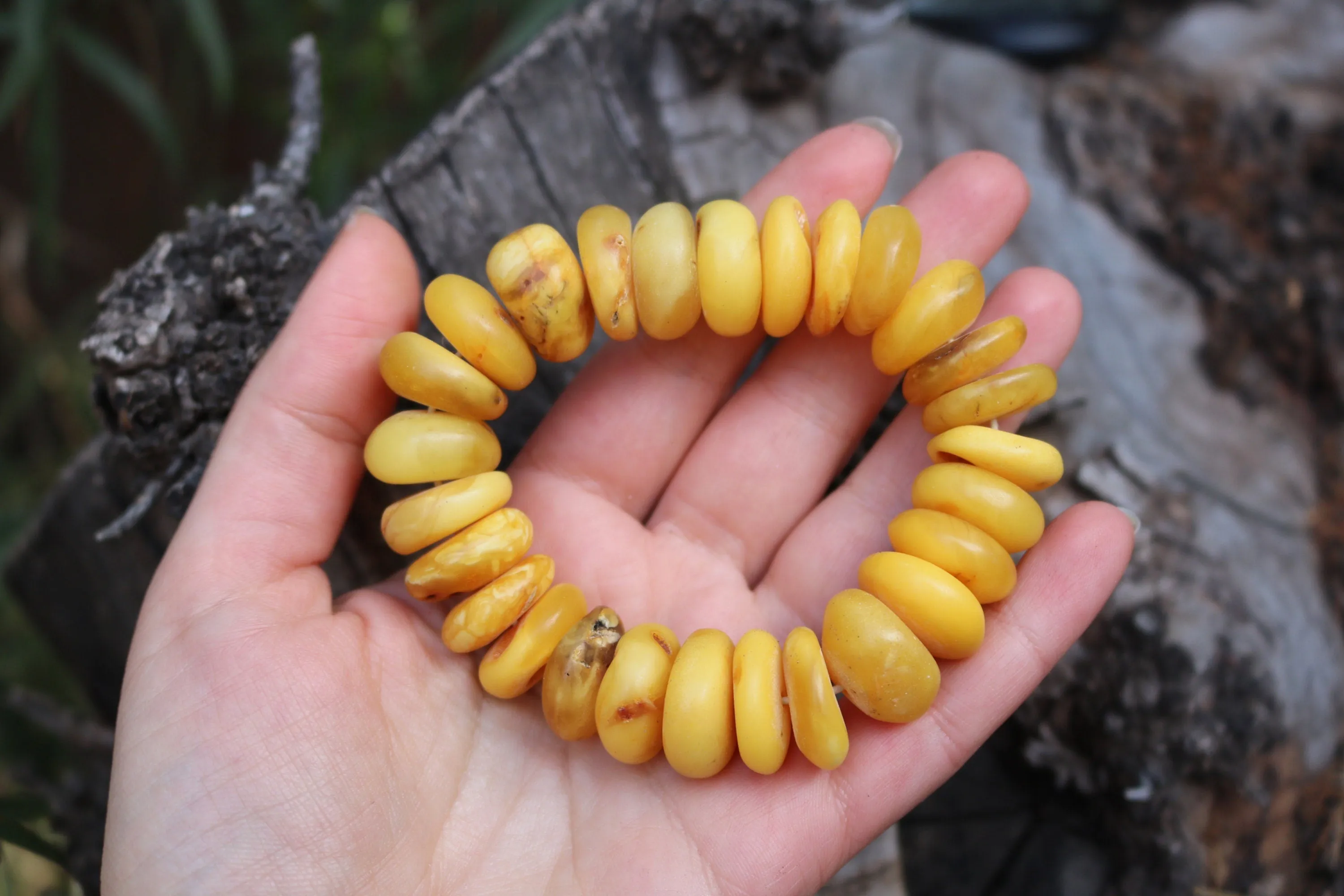 Baltic Amber Bracelet Raw Butterscotch Yolk Rondelle Unpolished Beads Natural Untreated Unisex 48.4 gram